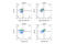 Enhancer Of Zeste 2 Polycomb Repressive Complex 2 Subunit antibody, 45638S, Cell Signaling Technology, Flow Cytometry image 