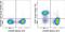CD27 Molecule antibody, 67-0271-82, Invitrogen Antibodies, Flow Cytometry image 