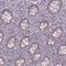 Nudix Hydrolase 16 antibody, HPA060452, Atlas Antibodies, Immunohistochemistry frozen image 