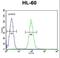Dipeptidyl Peptidase 3 antibody, LS-C167518, Lifespan Biosciences, Flow Cytometry image 