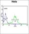 Keratin 17 antibody, orb214171, Biorbyt, Flow Cytometry image 