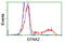 Elf1 antibody, LS-C115413, Lifespan Biosciences, Flow Cytometry image 