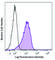 NRP antibody, 145301, BioLegend, Flow Cytometry image 
