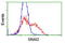 Snail Family Transcriptional Repressor 2 antibody, TA800196, Origene, Flow Cytometry image 