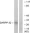 Protein Phosphatase 1 Regulatory Inhibitor Subunit 1B antibody, LS-C118090, Lifespan Biosciences, Western Blot image 