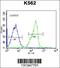 Zinc Finger Protein 146 antibody, 56-389, ProSci, Immunofluorescence image 