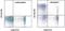 CD40 Ligand antibody, 12-1548-42, Invitrogen Antibodies, Flow Cytometry image 