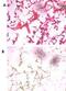 Ubiquitin C-Terminal Hydrolase L5 antibody, PA5-11987, Invitrogen Antibodies, Immunohistochemistry paraffin image 