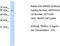 Sarcosine dehydrogenase, mitochondrial antibody, TA346452, Origene, Western Blot image 