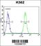 Adhesion G Protein-Coupled Receptor B1 antibody, 63-444, ProSci, Immunofluorescence image 