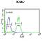 Lysine-specific demethylase 4B antibody, abx034353, Abbexa, Flow Cytometry image 