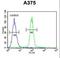 A1CF antibody, LS-C155929, Lifespan Biosciences, Flow Cytometry image 