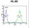 Regulator Of G Protein Signaling 1 antibody, LS-C162570, Lifespan Biosciences, Flow Cytometry image 