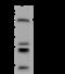ERBB2 antibody, 310185-T40, Sino Biological, Western Blot image 