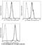 Tyrosine 3-Monooxygenase/Tryptophan 5-Monooxygenase Activation Protein Beta antibody, 10843-MM03-P, Sino Biological, Flow Cytometry image 