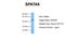 Spermatogenesis Associated 6 antibody, NBP1-70710, Novus Biologicals, Western Blot image 