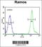 NIPA Like Domain Containing 1 antibody, 55-801, ProSci, Immunofluorescence image 