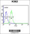 Rh Family B Glycoprotein (Gene/Pseudogene) antibody, 64-221, ProSci, Flow Cytometry image 
