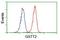 Glutathione S-Transferase Theta 2 (Gene/Pseudogene) antibody, NBP2-03126, Novus Biologicals, Flow Cytometry image 