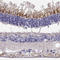 Leucine Rich Repeat, Ig-Like And Transmembrane Domains 2 antibody, HPA037788, Atlas Antibodies, Immunohistochemistry paraffin image 