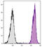 H-2K(B) antibody, 99-083, ProSci, Immunohistochemistry paraffin image 