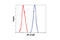 p65 antibody, 6956T, Cell Signaling Technology, Flow Cytometry image 