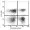 Neural Cell Adhesion Molecule 1 antibody, 10673-MM05-P, Sino Biological, Flow Cytometry image 