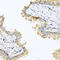 Defensin Beta 121 antibody, LS-C335132, Lifespan Biosciences, Immunohistochemistry frozen image 