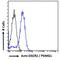 Proteasome assembly chaperone 1 antibody, 42-077, ProSci, Enzyme Linked Immunosorbent Assay image 