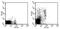 Killer cell lectin-like receptor 3 antibody, 12-5991-81, Invitrogen Antibodies, Flow Cytometry image 