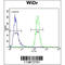 Transcription Factor CP2 Like 1 antibody, OAAB09683, Aviva Systems Biology, Flow Cytometry image 