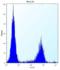 Nuclear pore glycoprotein p62 antibody, orb69723, Biorbyt, Flow Cytometry image 