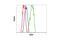 Early Growth Response 1 antibody, 4154S, Cell Signaling Technology, Flow Cytometry image 