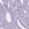 Sperm Acrosome Associated 4 antibody, HPA041927, Atlas Antibodies, Immunohistochemistry paraffin image 