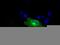 RalA Binding Protein 1 antibody, GTX83728, GeneTex, Immunofluorescence image 