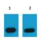 mCherry Tag  antibody, SPC-1268D-BI, StressMarq, Western Blot image 
