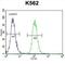 Melanocyte Inducing Transcription Factor antibody, abx026323, Abbexa, Flow Cytometry image 