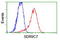 Short Chain Dehydrogenase/Reductase Family 9C Member 7 antibody, TA502013, Origene, Flow Cytometry image 