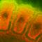 Heat Shock Protein Family B (Small) Member 1 antibody, SMC-114D-A390, StressMarq, Immunohistochemistry paraffin image 
