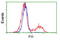 Fumarate Hydratase antibody, TA500682, Origene, Flow Cytometry image 