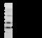 HspB5 antibody, 104926-T40, Sino Biological, Western Blot image 