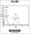 EEF1A Lysine Methyltransferase 2 antibody, 55-811, ProSci, Flow Cytometry image 