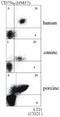 Complement C3d Receptor 2 antibody, MA1-19753, Invitrogen Antibodies, Flow Cytometry image 