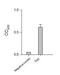 Helicobacter pylori urease B antibody, PA5-32168, Invitrogen Antibodies, Enzyme Linked Immunosorbent Assay image 