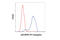 p38 antibody, 41666S, Cell Signaling Technology, Flow Cytometry image 