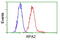 Replication Protein A2 antibody, GTX83691, GeneTex, Flow Cytometry image 