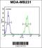 Cytochrome P450 Family 2 Subfamily A Member 7 antibody, 55-205, ProSci, Flow Cytometry image 