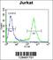 Zinc Finger Protein 648 antibody, 55-833, ProSci, Flow Cytometry image 