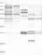 SH3 And Cysteine Rich Domain antibody, NBP1-80717, Novus Biologicals, Western Blot image 