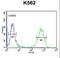 CST complex subunit CTC1 antibody, LS-B13171, Lifespan Biosciences, Flow Cytometry image 